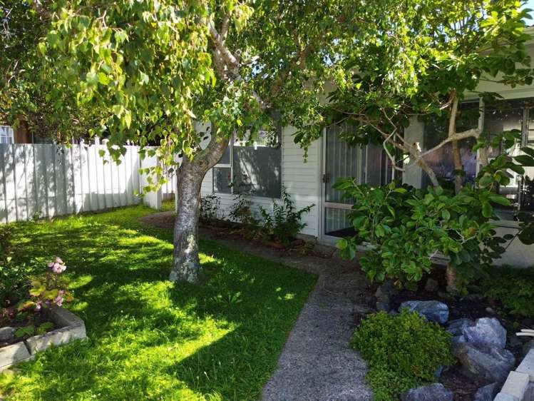 2/44 Devonshire Road Miramar_0