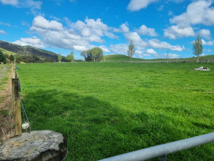 3345A Weber Road Dannevirke_24
