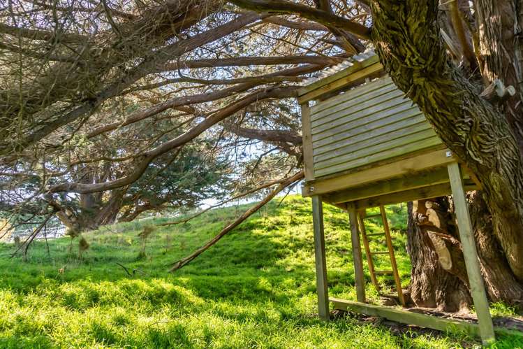 105a Bradey Road Pāuatahanui_14