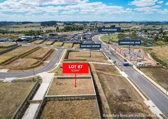 Lot 87, 19 Takahe Lane, Frontier Estate Te Awamutu_2