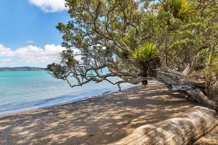 309 Nook Road Parua Bay_40