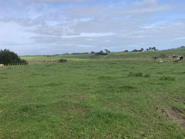 Lot 5/Near 127 Waitoetoe Road Urenui_9