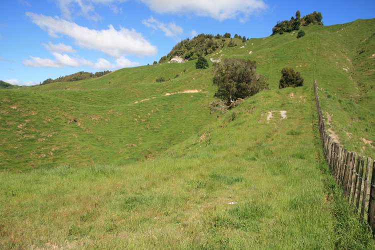 5 Marco Road Ruapehu-King Country Surrounds_7