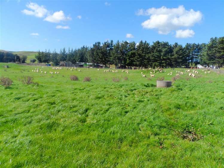 71 Wapiti Avenue Feilding_14