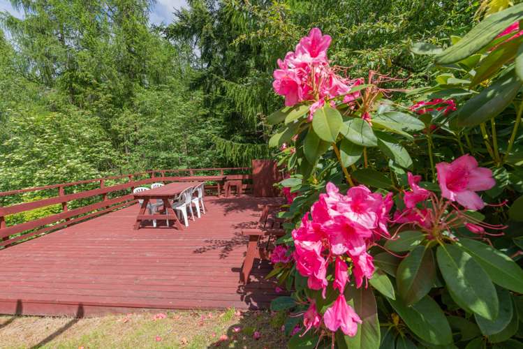 23 Strode Avenue Naseby_5