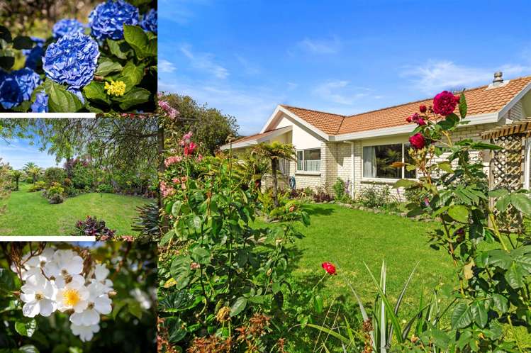 4 Liftan Place Mount Maunganui_18