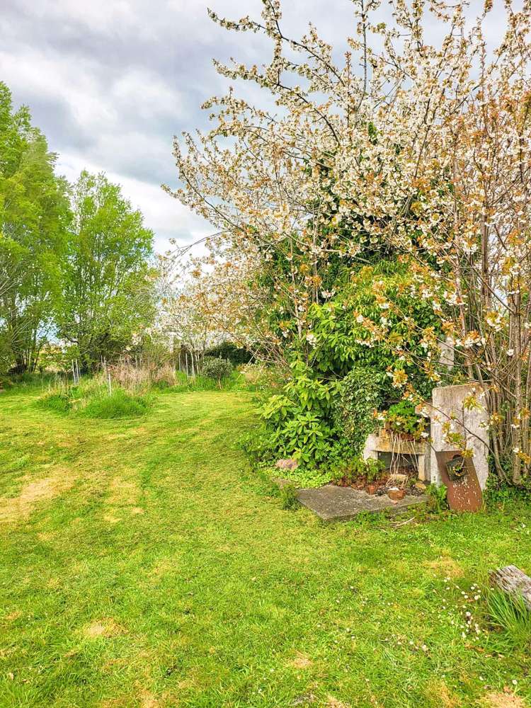 103 Birchwood Road Ohai_5