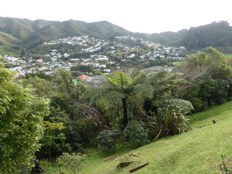 32 Parklands Drive Karori_11