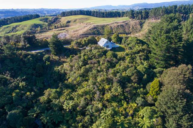 238 No 1 Line Pohangina Valley_3