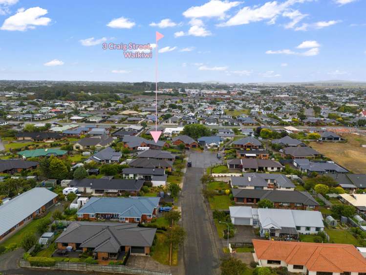 3 Craig Street Waikiwi_32