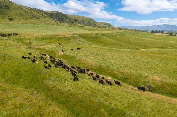 23 Klifden Road Oturehua_2