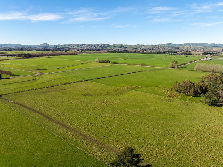 326 Cornwall Road East Taratahi_14