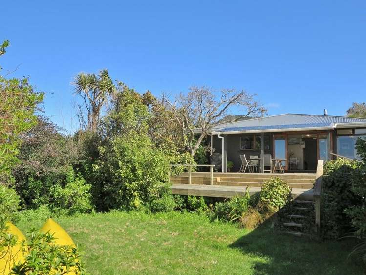 1174 Collingwood-Puponga Kahurangi National Park_11