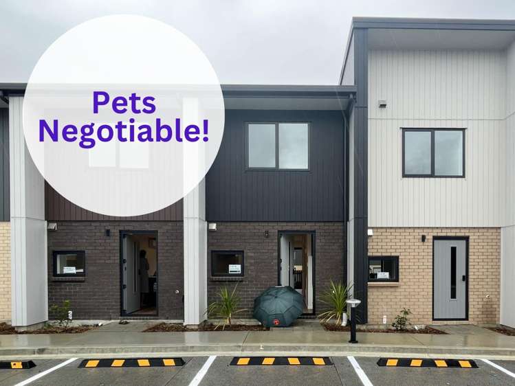 8/476 West Coast Road 1665_0