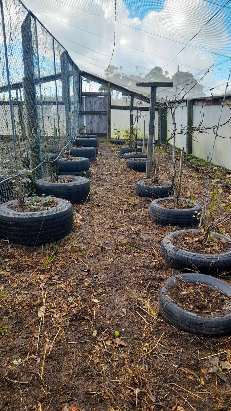 132 Pukewhai Road Kaingaroa_12