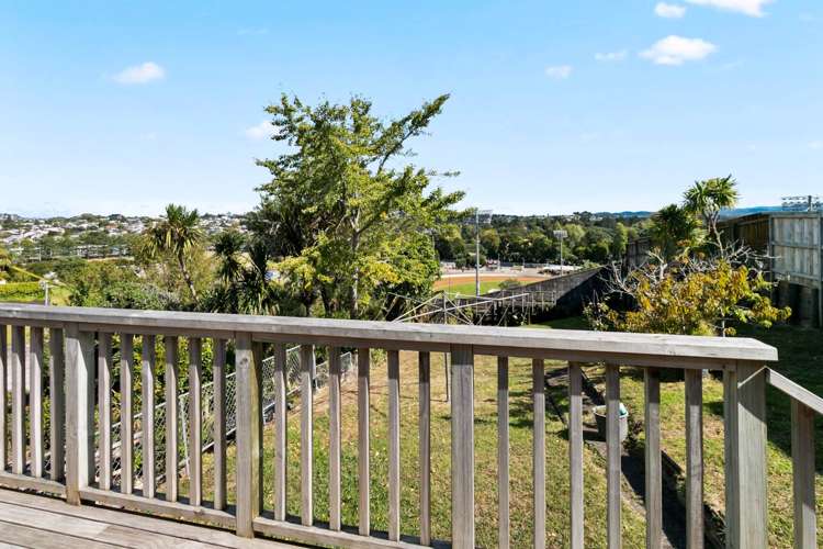 Old Mill Road Grey Lynn_2