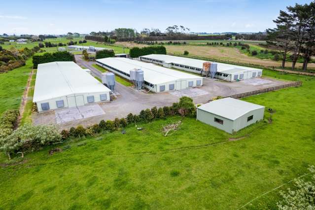 24 Te Arei Road West Sentry Hill_4