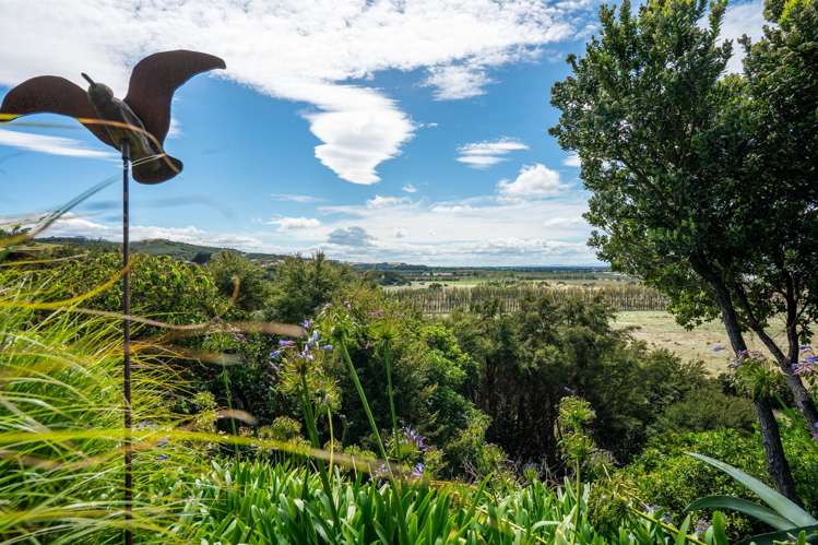 3626 Western Lake Road Ocean Beach_31