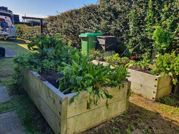 34a Torkar Road Clarks Beach_19