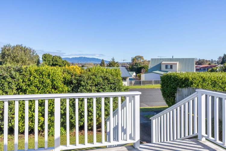 680 Picquet Hill Road Te Awamutu_10