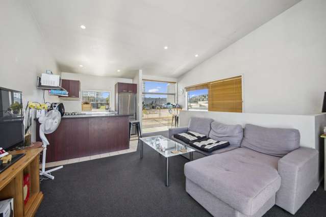 11m Gundry Street Auckland Central_4