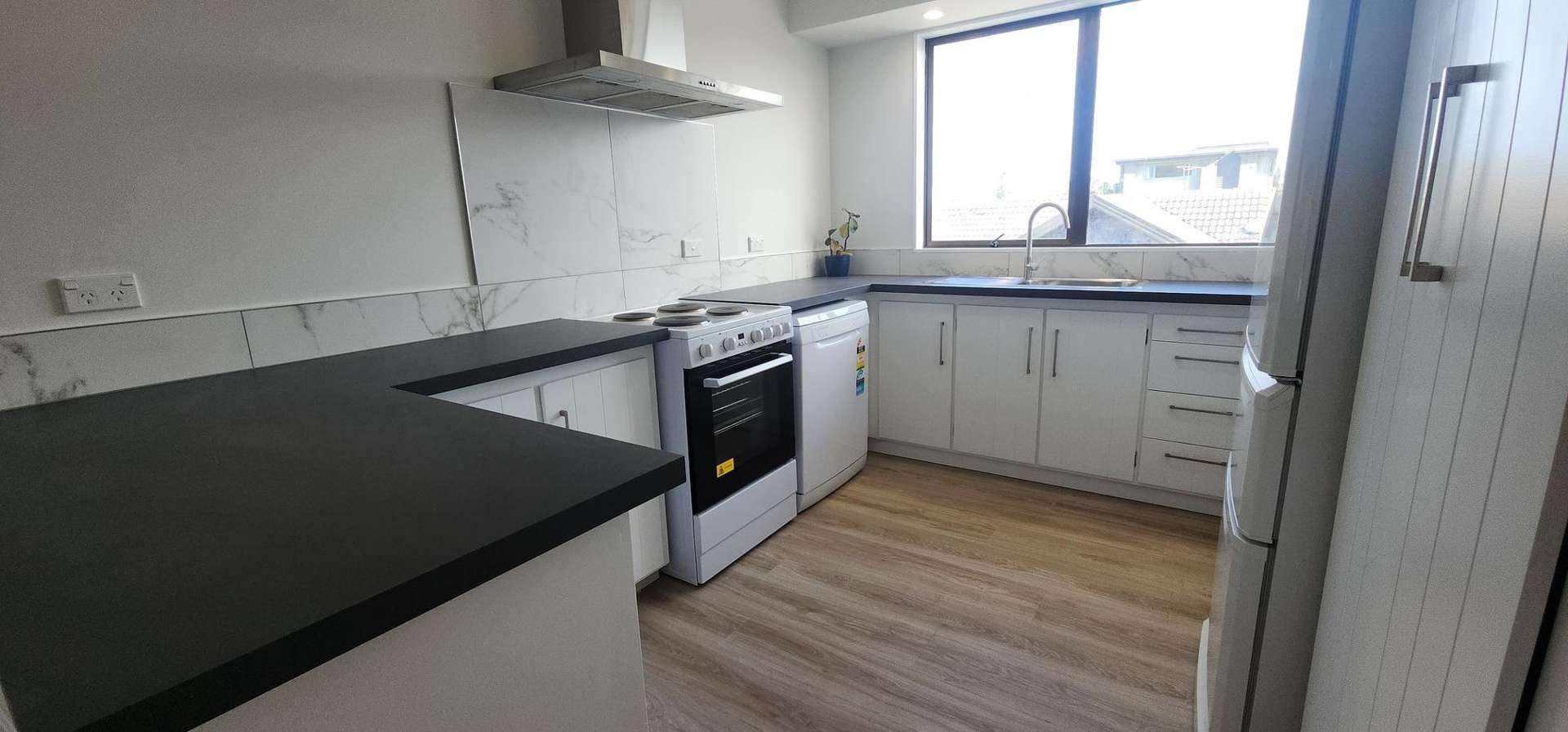 1 Nukumea Common Orewa_0