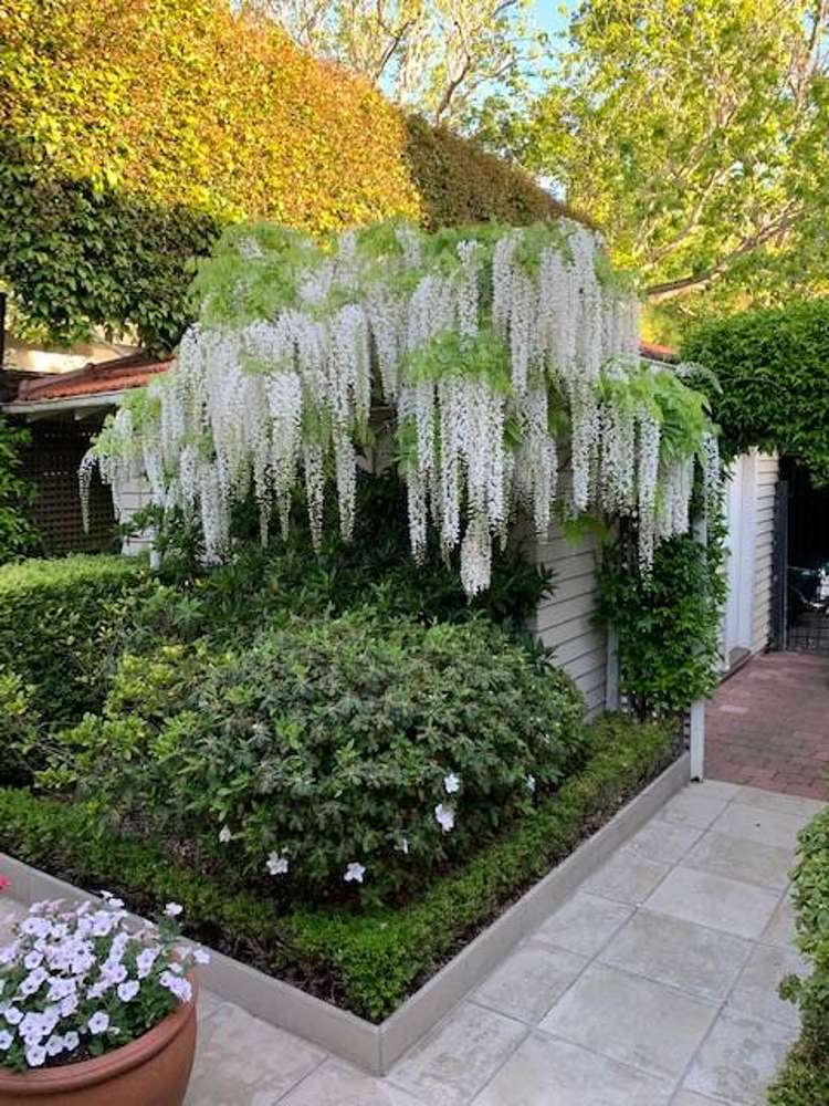 722 Remuera Road Remuera_20