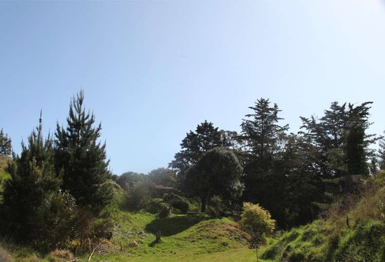 66 Palmer Road Foxton Beach_46