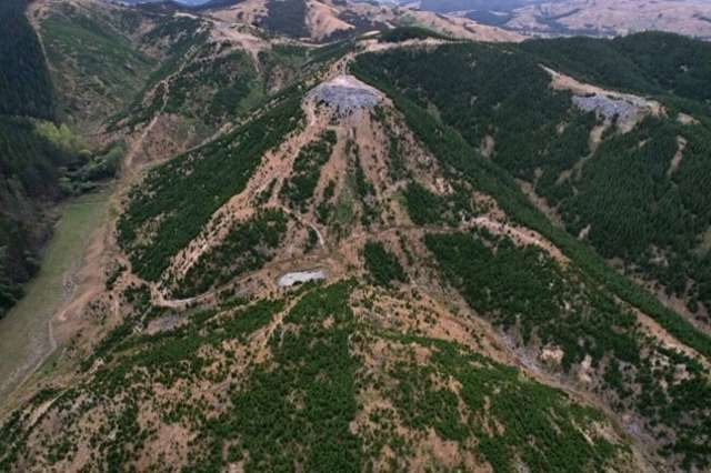 3525 Masterton Castlepoint Road Mangapakeha_4