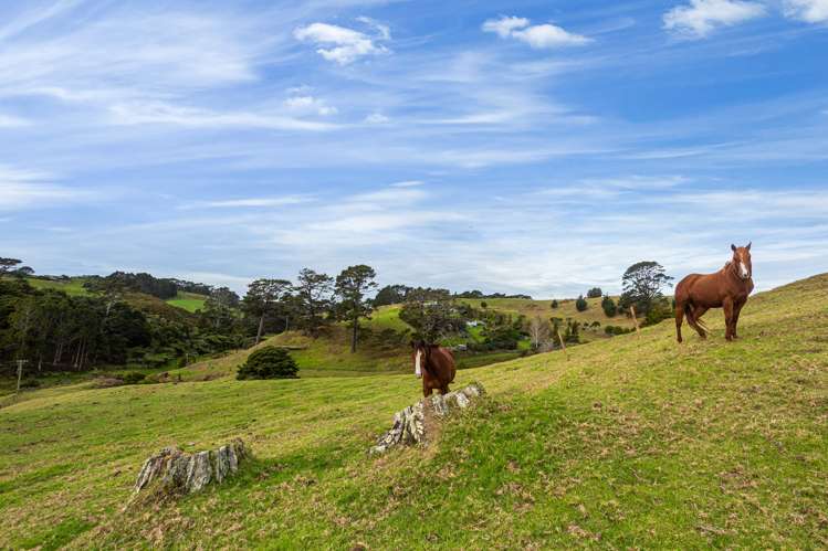 1096f Awhitu Road Pollok_5