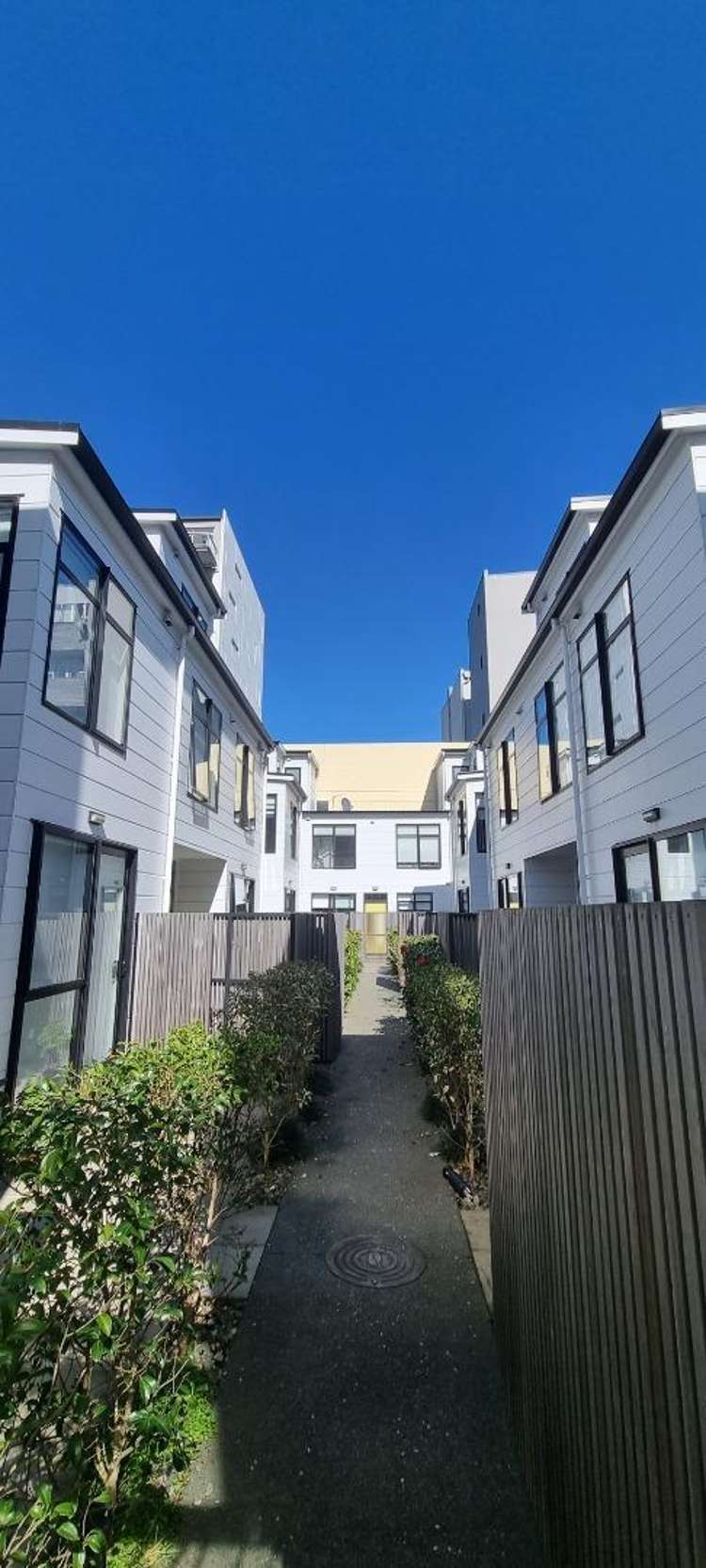 8/5 Ebor Street Te Aro_15