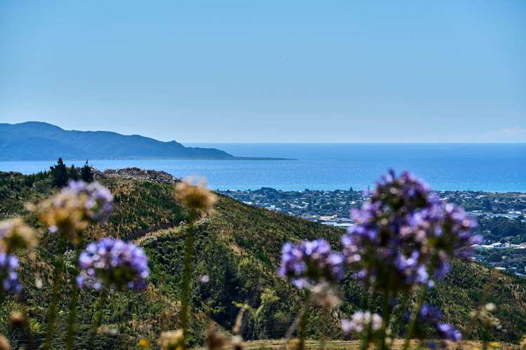 46 Eucalyptus Way Paraparaumu_1