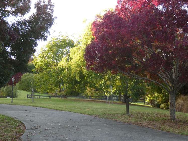 27 Francis Place Warkworth_6