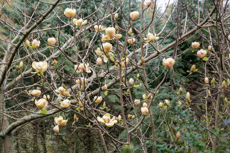 182 Thornton Road Cambridge_22