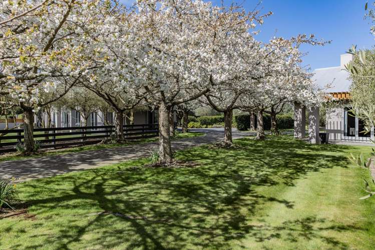 184 Vicenza Drive Ohoka_41