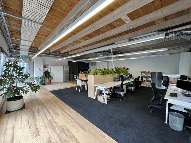 7 Falcon Street Parnell_3