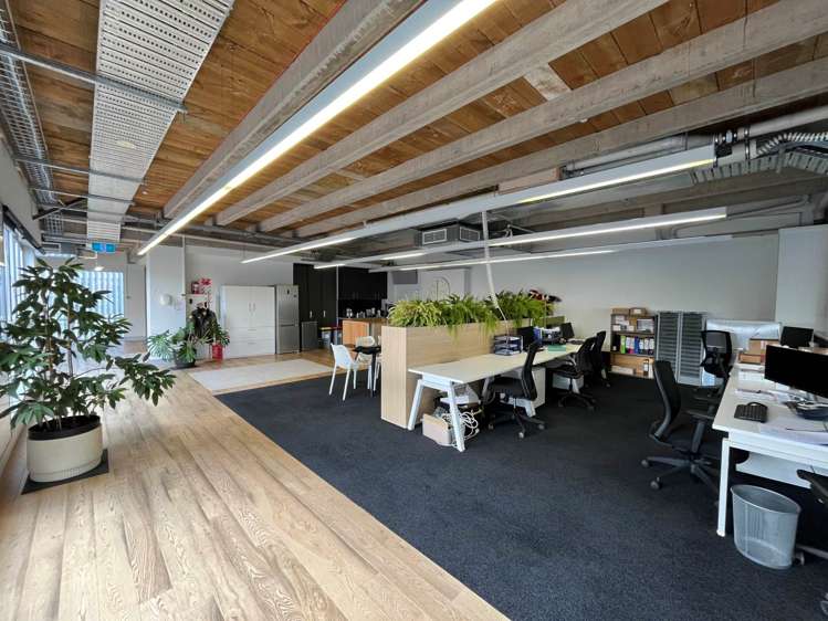 7 Falcon Street Parnell_3