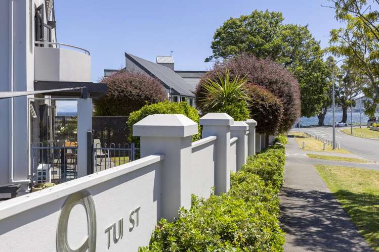 1/7 Tui Street Bird Area_30