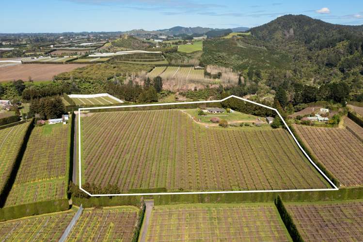388 Manoeka Road Te Puke_9