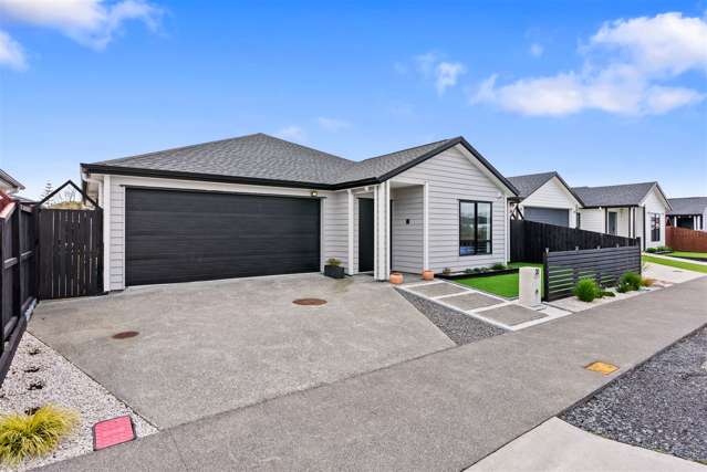 20 Softwood Avenue Takanini_1