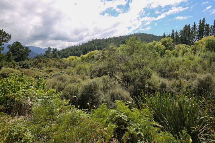 538 Waiwhero Road Ngatimoti_32