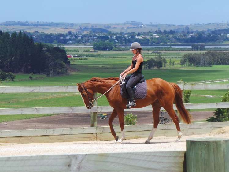 78 Morrison Road Arapohue_0