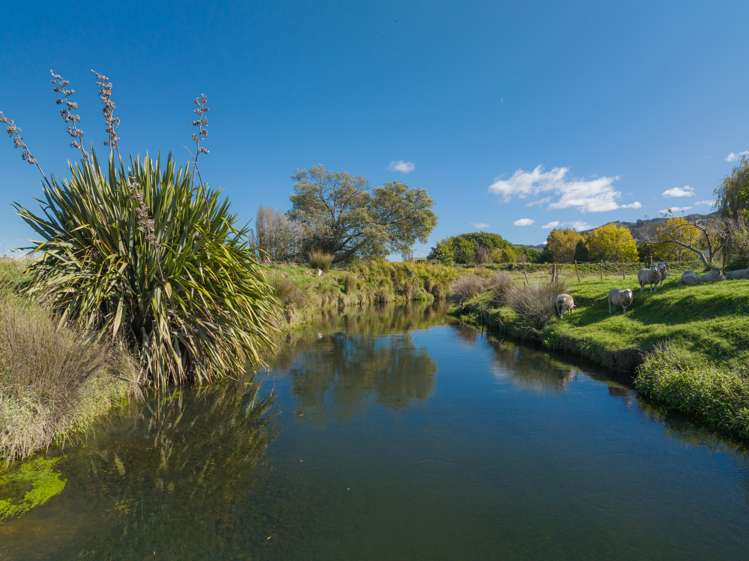 1866 State Highway 1 Tuamarina_17