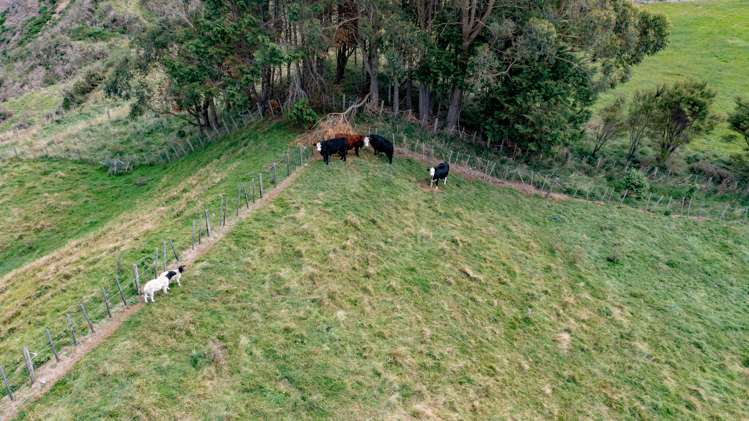 61 Kereru Road Glen Massey_26