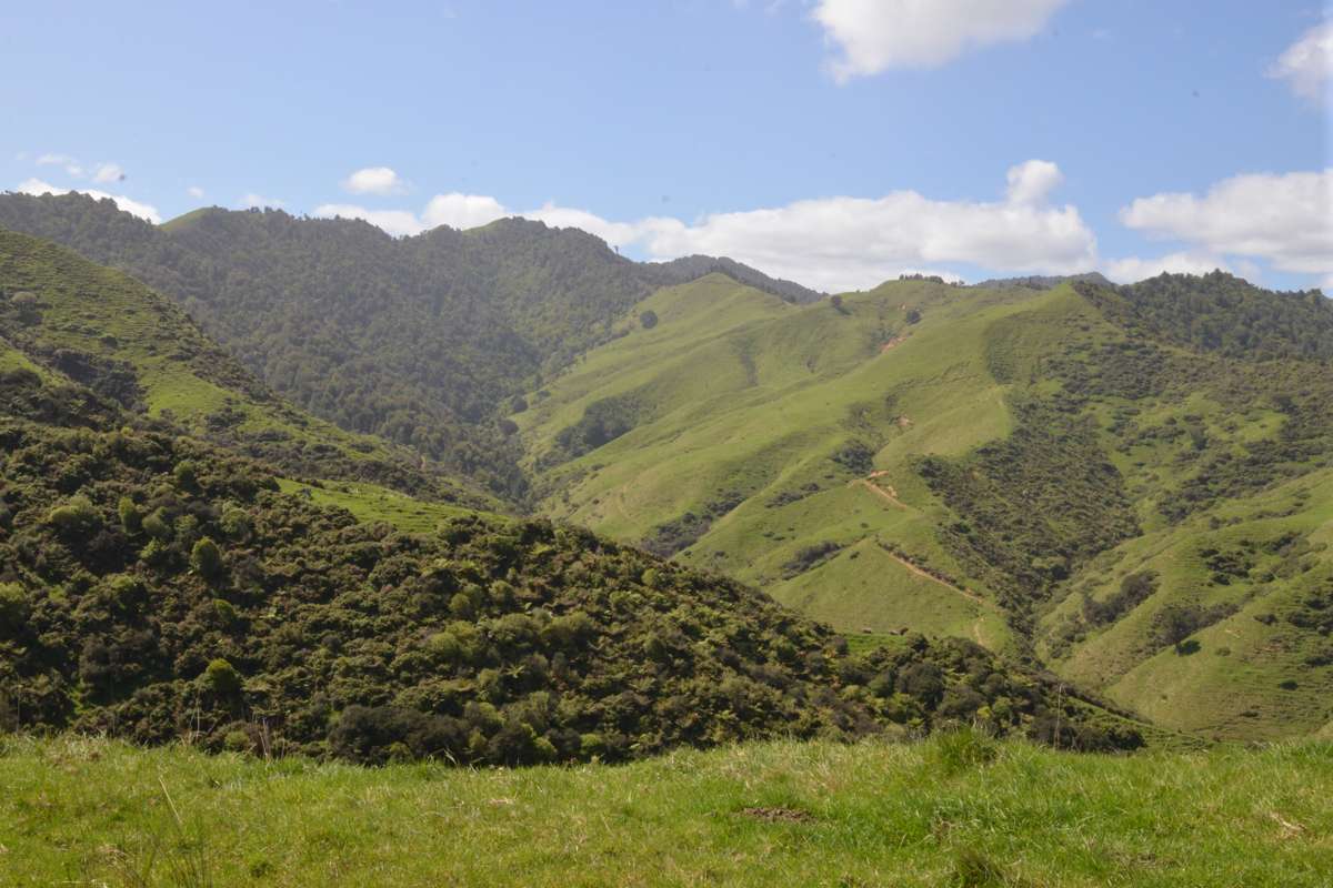 1295 Marokopa Road_3