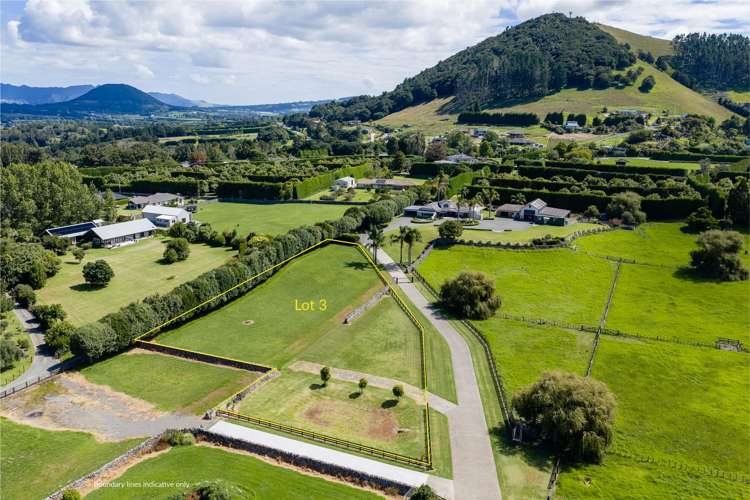 Lots 1-3/31 Millington Road Maunu_15