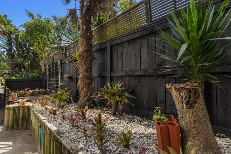 246A Pohutukawa Avenue Ohope_15