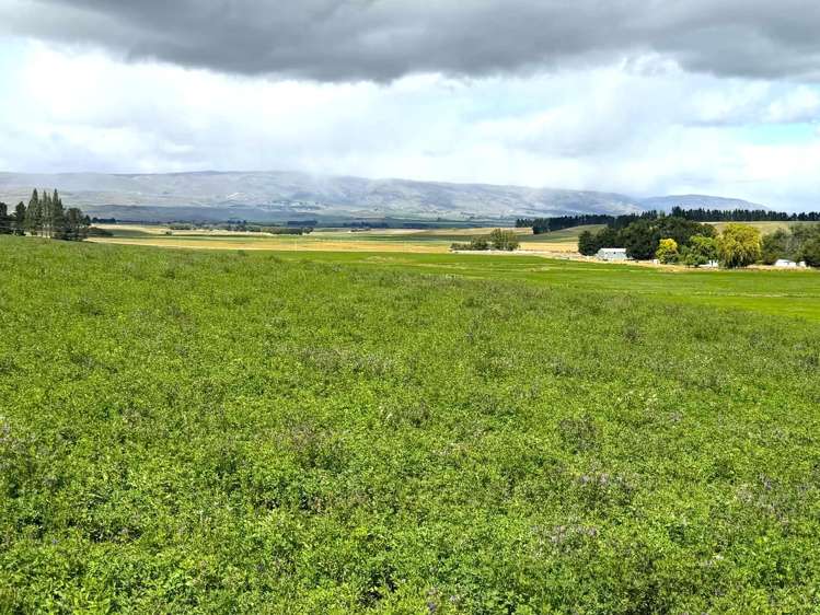 Bypass Road Ranfurly_5