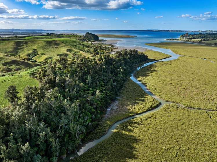 152 Turner Road Whakamarama_8