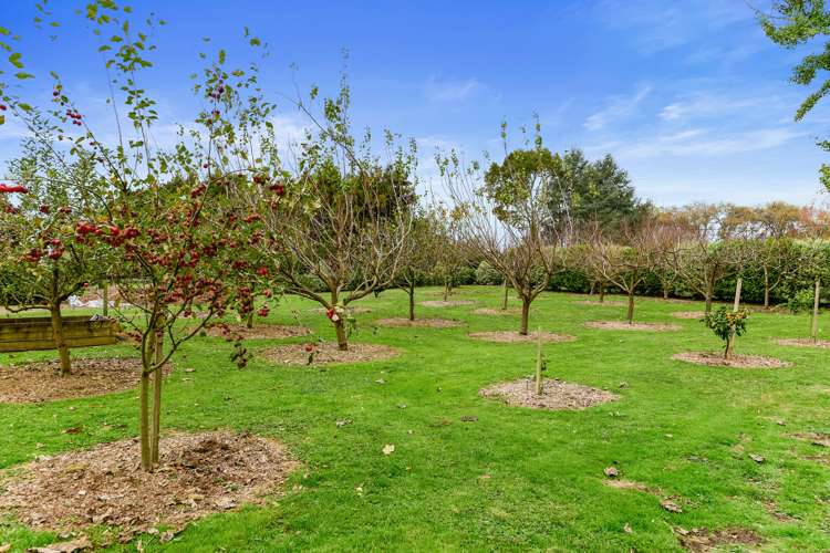 6 Cranmere Drive Tamahere_17